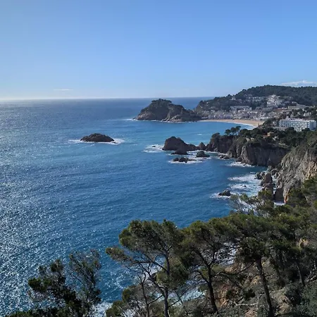 Apartment Tropicana-30m De La Playa Con Parking Y A/c *